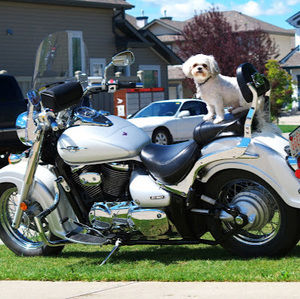 Meet your Posher, Roline